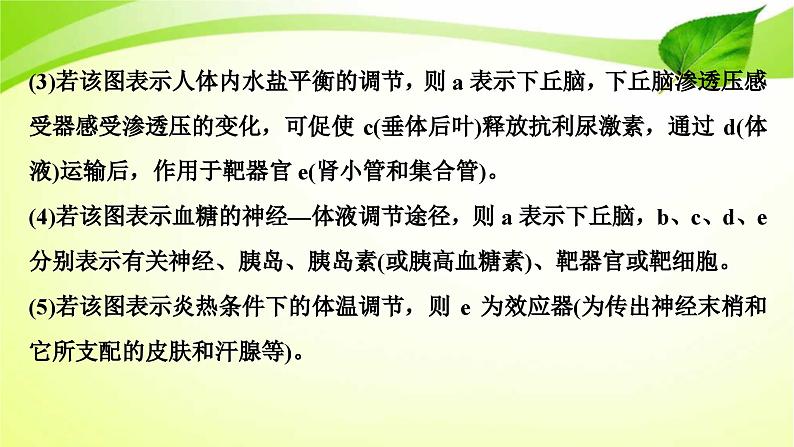 新高考生物二轮复习：加强提升课件(八)　动物生命活动调节模型及相关实验突破（含解析）07