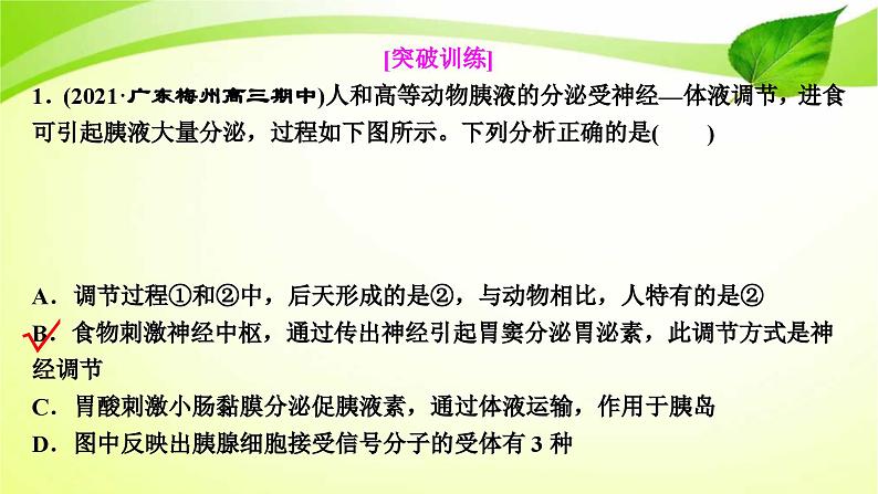 新高考生物二轮复习：加强提升课件(八)　动物生命活动调节模型及相关实验突破（含解析）08