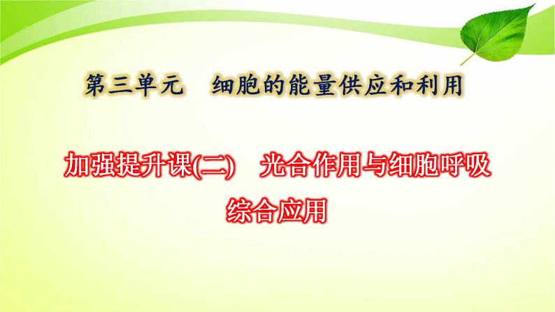 新高考生物二轮复习：加强提升课件(二)　光合作用与细胞呼吸综合应用（含解析）01