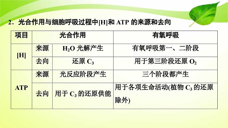 新高考生物二轮复习：加强提升课件(二)　光合作用与细胞呼吸综合应用（含解析）04