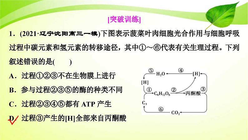 新高考生物二轮复习：加强提升课件(二)　光合作用与细胞呼吸综合应用（含解析）05