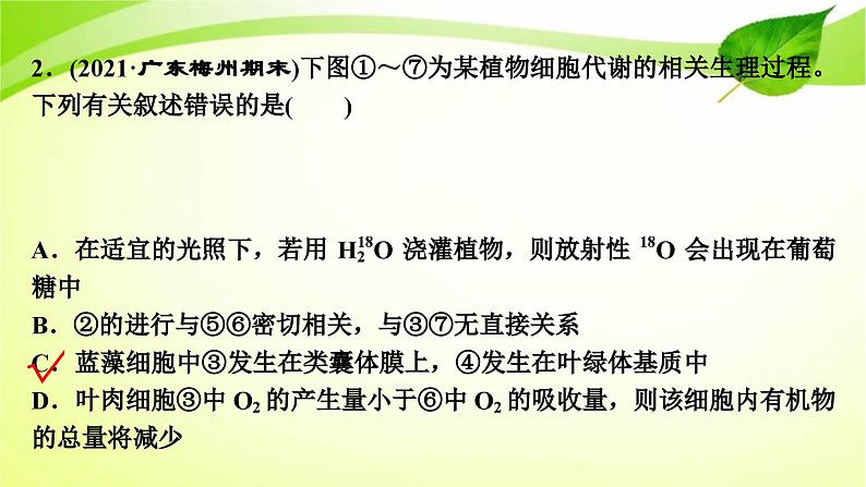 新高考生物二轮复习：加强提升课件(二)　光合作用与细胞呼吸综合应用（含解析）07