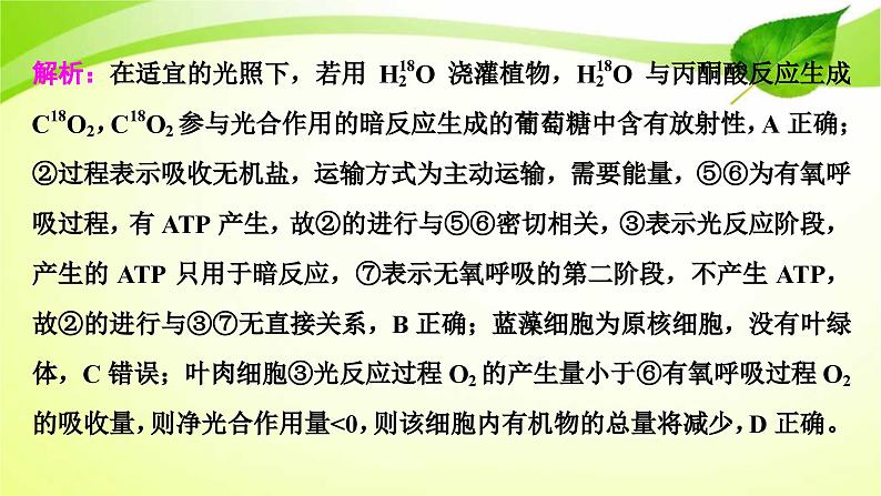 新高考生物二轮复习：加强提升课件(二)　光合作用与细胞呼吸综合应用（含解析）08