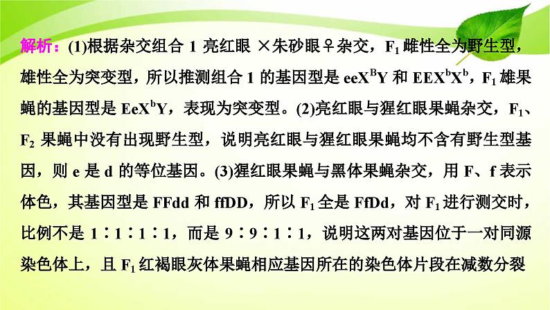 新高考生物二轮复习：加强提升课件(六)　基因位置的判定及相关实验设计突破（含解析）第8页