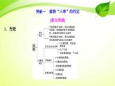 新高考生物二轮复习：加强提升课件(三)　辨析“三率”及“三率”测定的5种实验模型（含解析）