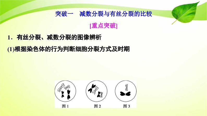 新高考生物二轮复习：加强提升课件(四)　辨析“三率”及“三率”测定的5种实验模型（含解析）02