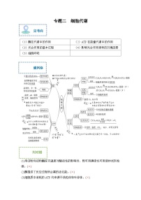 新高考生物二轮复习综合提升训练专题二 细胞代谢（含解析）