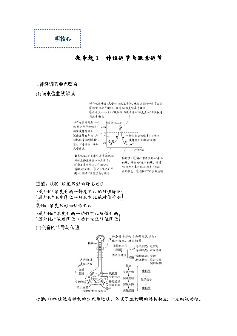新高考生物二轮复习综合提升训练专题六 个体生命活动的调节（含解析）第3页