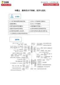 新高考生物二轮复习综合提升训练专题五 遗传的分子基础、变异与进化（含解析）