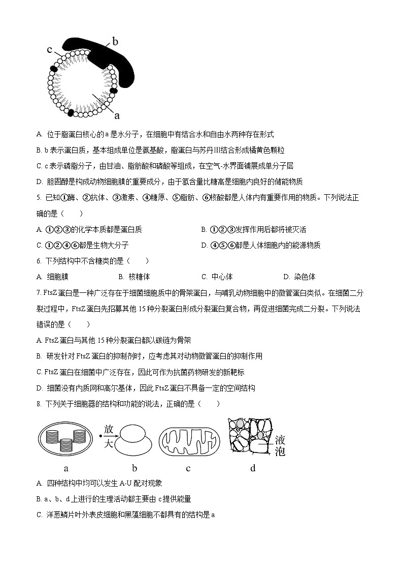 重庆市渝北中学2023-2024学年高三9月月考生物试题无答案第2页