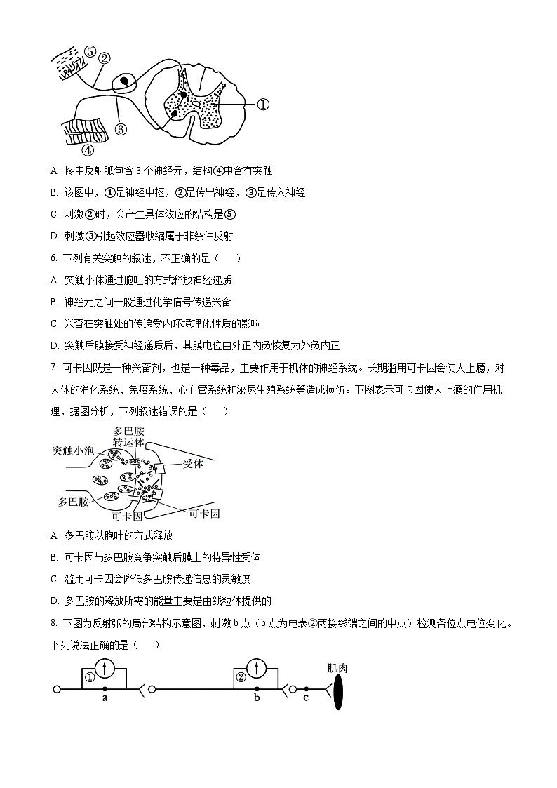 四川省广元中学2023-2024学年高二10月第一次阶段性测试生物试题无答案第2页