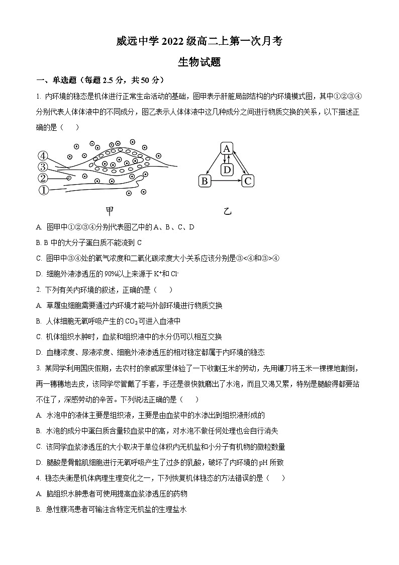 2024内江威远中学高二上学期第一次月考生物试题含解析01