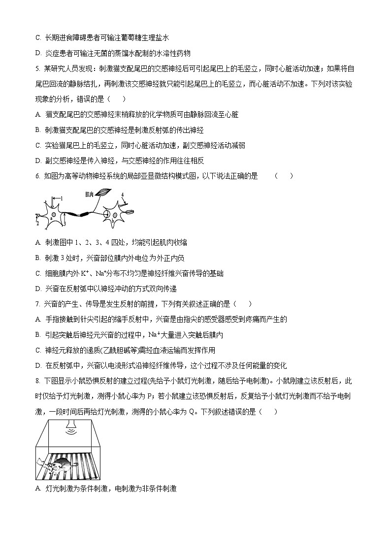 2024内江威远中学高二上学期第一次月考生物试题含解析02