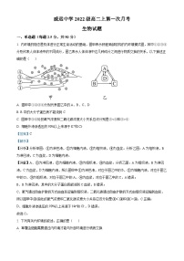 2024内江威远中学高二上学期第一次月考生物试题含解析