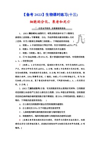 新高考生物一轮复习课时练习13　细胞的分化、衰老和死亡(含解析）