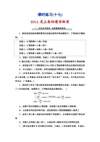 新高考生物一轮复习课时练习17　DNA是主要的遗传物质(含解析）