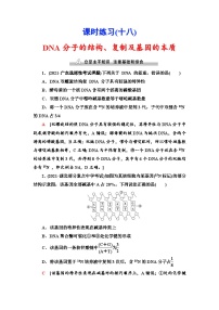 新高考生物一轮复习课时练习18　DNA分子的结构、复制及基因的本质(含解析）