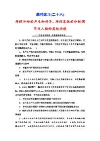 新高考生物一轮复习课时练习26　神经冲动的产生和传导、神经系统的分级调节及人脑的高级功能(含解析）