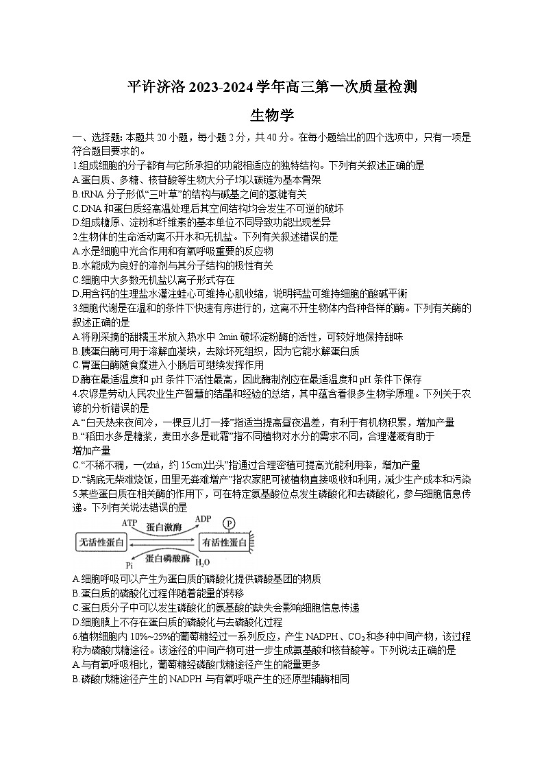 河南省平顶山许昌济源洛阳2023一2024学年高三上学期第一次质量检测生物试题（月考）01
