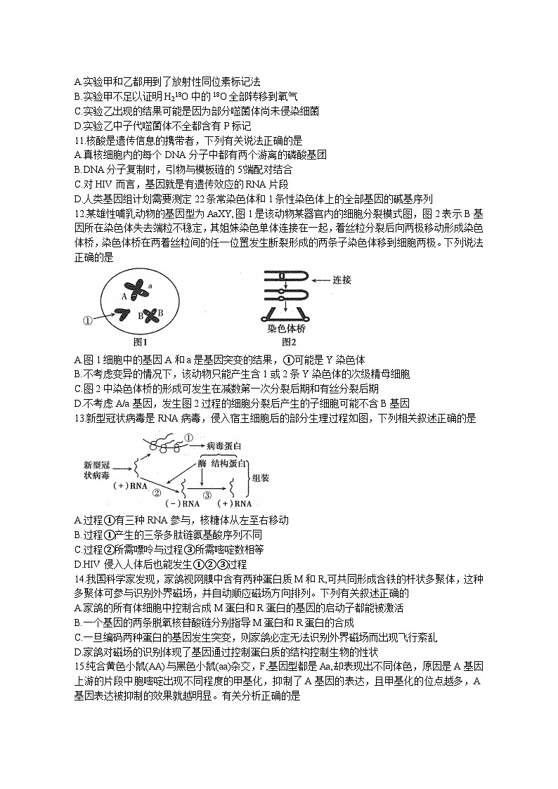 河南省平顶山许昌济源洛阳2023一2024学年高三上学期第一次质量检测生物试题（月考）03