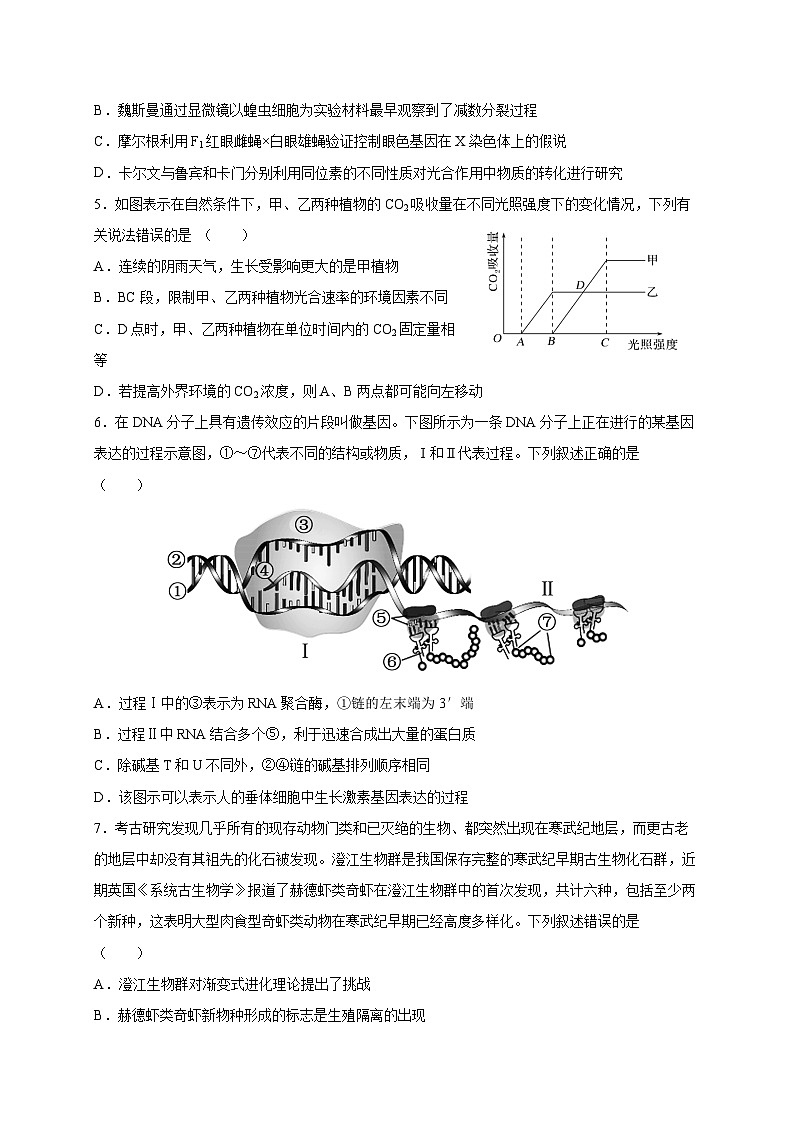 广东省四校联考2023-2024学年高三生物上学期10月月考试题（Word版附答案）02