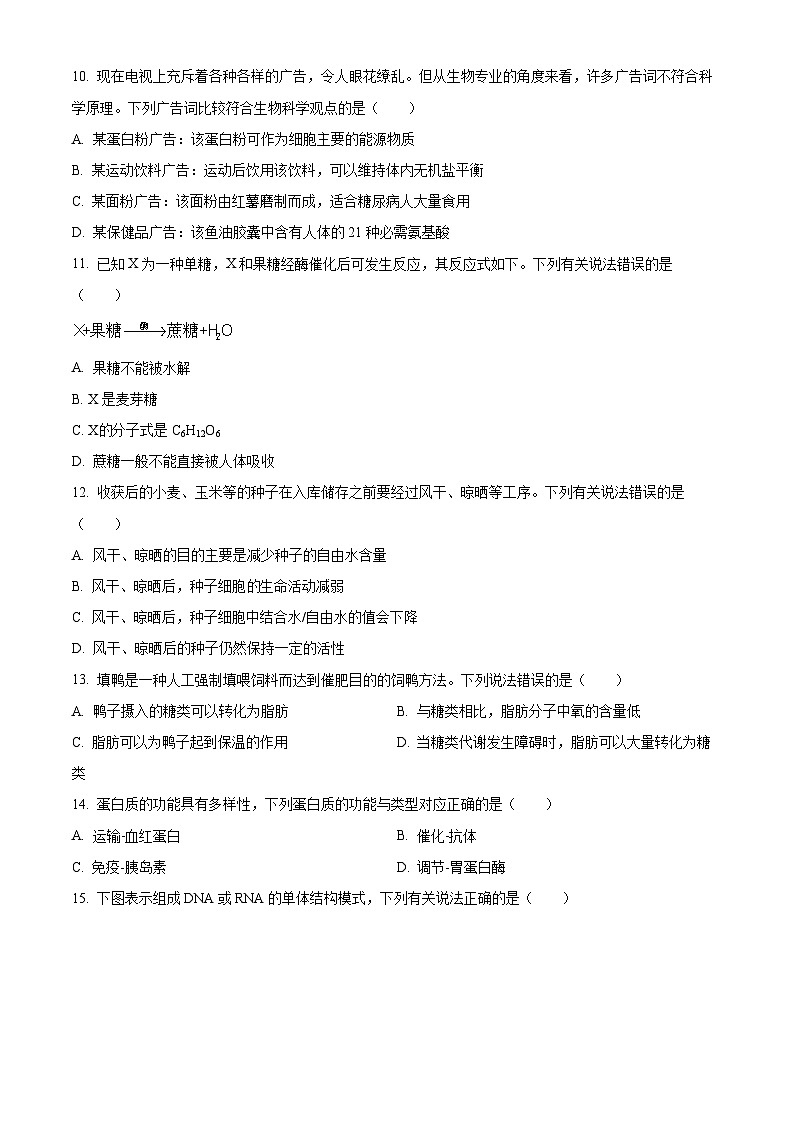 贵州省遵义市2023-2024学年高一生物上学期10月月考试题（Word版附答案）03