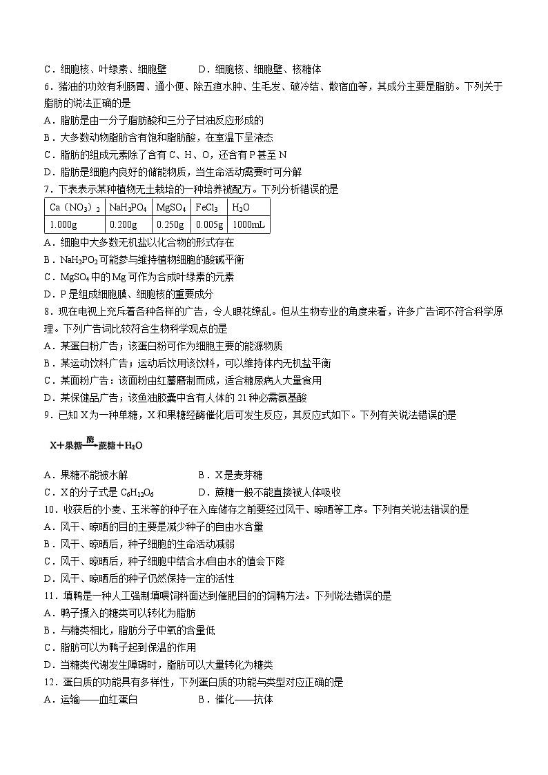河北省2023-2024学年高一生物上学期10月选科调考第一次联考试题（Word版附解析）第2页