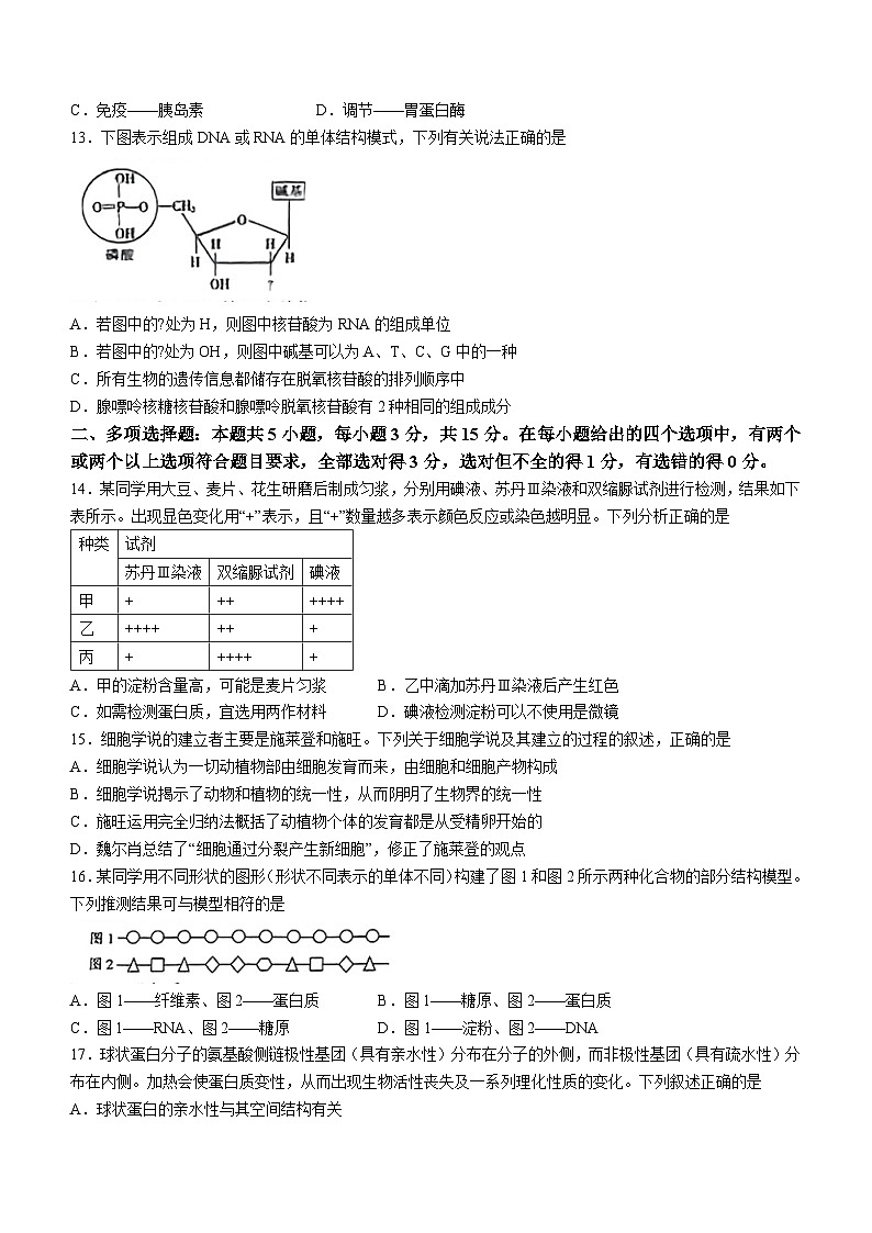 河北省2023-2024学年高一生物上学期10月选科调考第一次联考试题（Word版附解析）第3页
