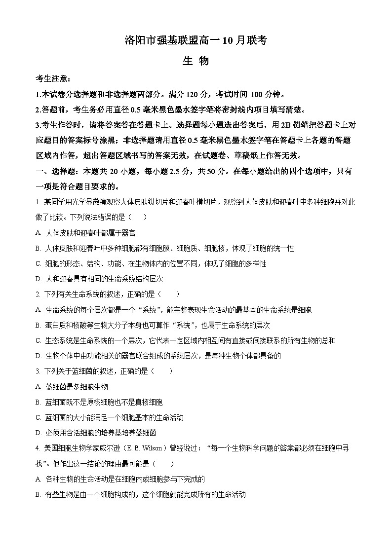 河南省洛阳市2023-2024学年高一生物上学期10月月考试题（Word版附解析）第1页