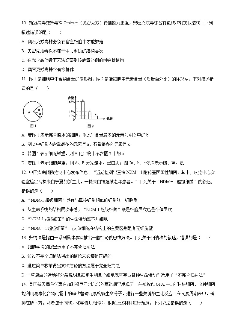 河南省洛阳市2023-2024学年高一生物上学期10月月考试题（Word版附解析）第3页