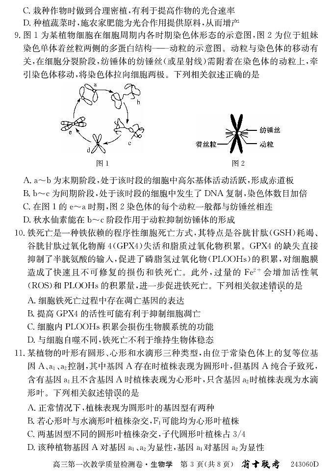 安徽省合肥市第一中学2023-2024学年高三上学期第一次教学质量检测生物试题及答案03