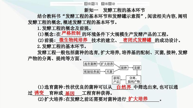 人教版高中生物选择性必修3第1章发酵工程第3节发酵工程及其应用课件03