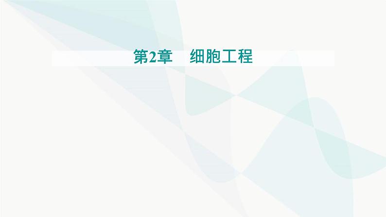 人教版高中生物选择性必修3第2章细胞工程第1节第1课时植物细胞工程的基本技术课件01