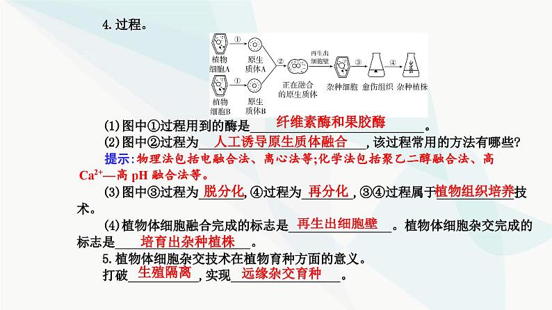 人教版高中生物选择性必修3第2章细胞工程第1节第1课时植物细胞工程的基本技术课件06