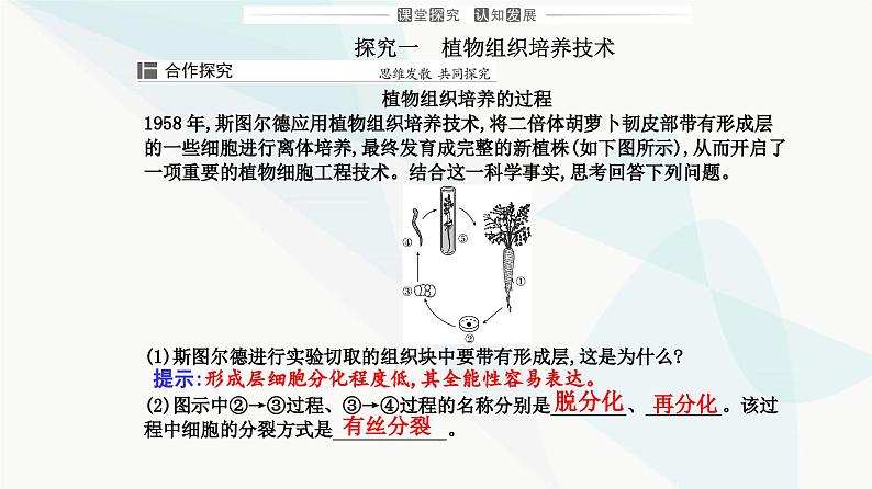 人教版高中生物选择性必修3第2章细胞工程第1节第1课时植物细胞工程的基本技术课件07