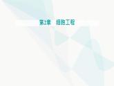 人教版高中生物选择性必修3第2章细胞工程第1节第2课时植物细胞工程的应用课件