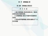 人教版高中生物选择性必修3第2章细胞工程第1节第2课时植物细胞工程的应用课件