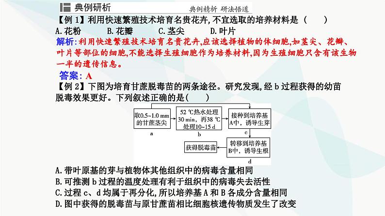 人教版高中生物选择性必修3第2章细胞工程第1节第2课时植物细胞工程的应用课件第8页