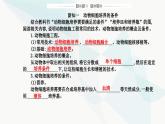 人教版高中生物选择性必修3第2章细胞工程第2节第1课时动物细胞培养课件