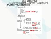 人教版高中生物选择性必修3第2章细胞工程第2节第1课时动物细胞培养课件