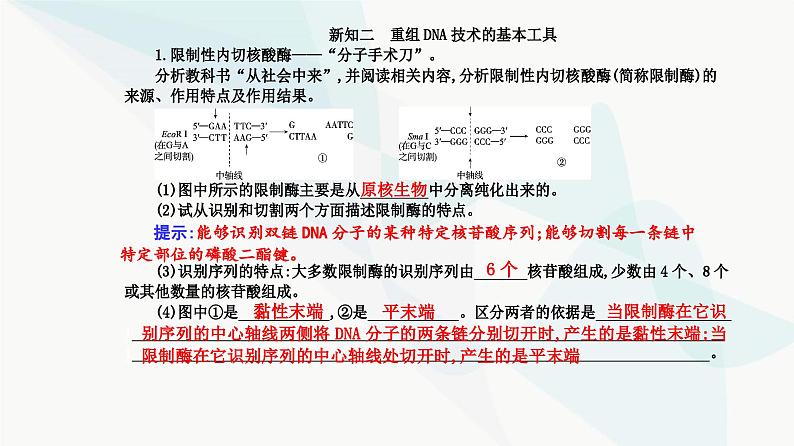 人教版高中生物选择性必修3第3章基因工程第1节重组DNA技术的基本工具课件05