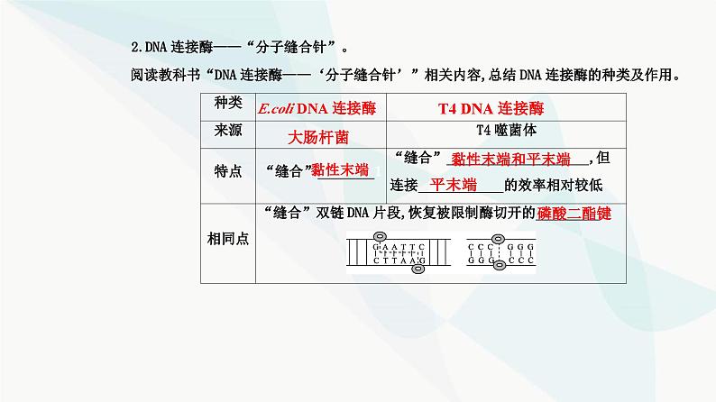 人教版高中生物选择性必修3第3章基因工程第1节重组DNA技术的基本工具课件06