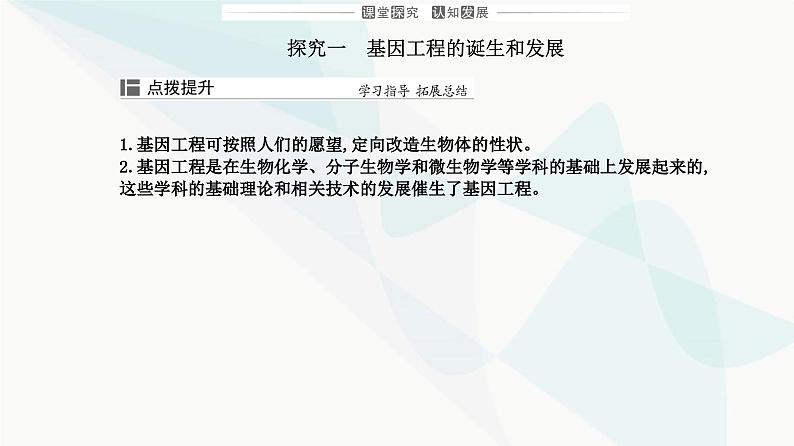 人教版高中生物选择性必修3第3章基因工程第1节重组DNA技术的基本工具课件08