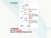 人教版高中生物选择性必修3第3章基因工程第2节基因工程的基本操作程序课件