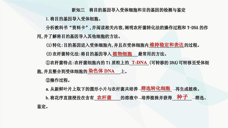 人教版高中生物选择性必修3第3章基因工程第2节基因工程的基本操作程序课件08