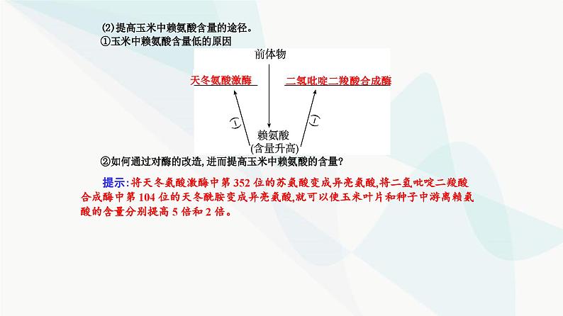 人教版高中生物选择性必修3第3章基因工程第4节蛋白质工程的原理和应用课件第4页