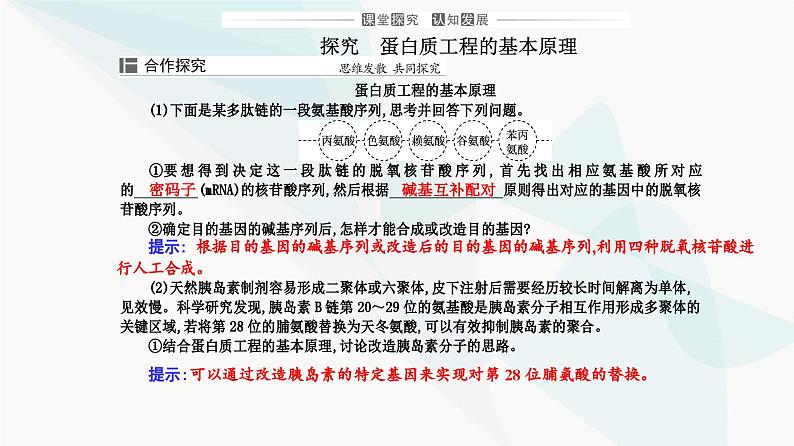 人教版高中生物选择性必修3第3章基因工程第4节蛋白质工程的原理和应用课件第7页