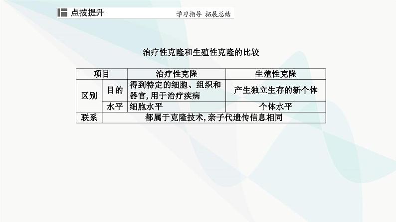 人教版高中生物选择性必修3第4章生物技术的安全性与伦理问题第2节关注生殖性克隆人课件07