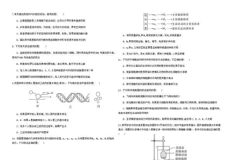 甘肃省天水市甘谷县第二中学2024届高三生物上学期第二次检测试题（Word版附答案）第2页