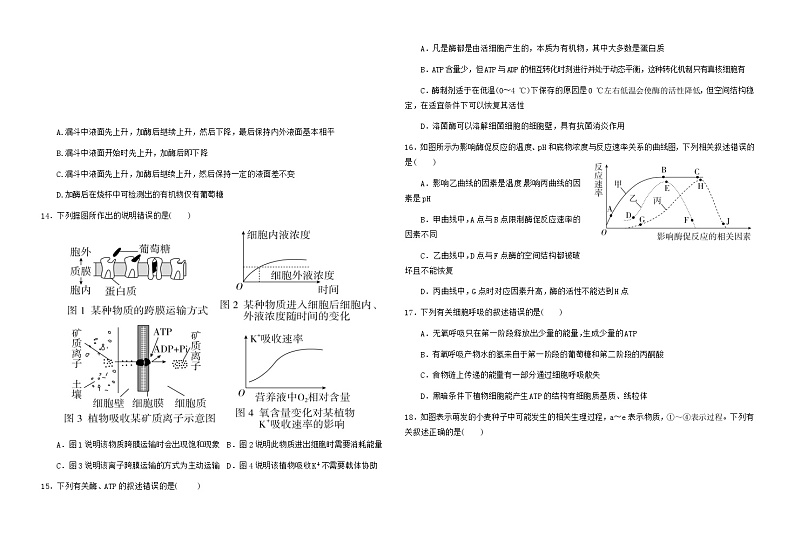 甘肃省天水市甘谷县第二中学2024届高三生物上学期第二次检测试题（Word版附答案）第3页